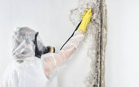 Best Mold Remediation for Healthcare Facilities  in Lawndale, CA